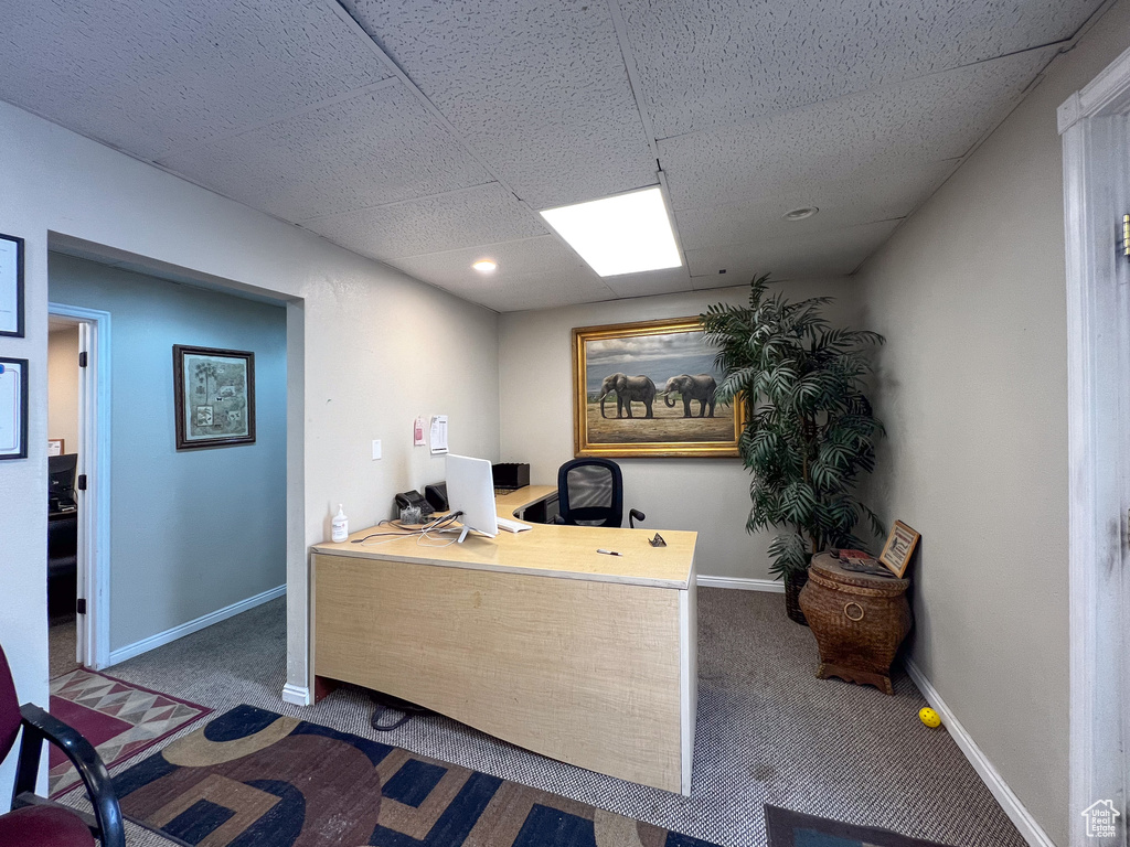 Carpeted home office with a paneled ceiling