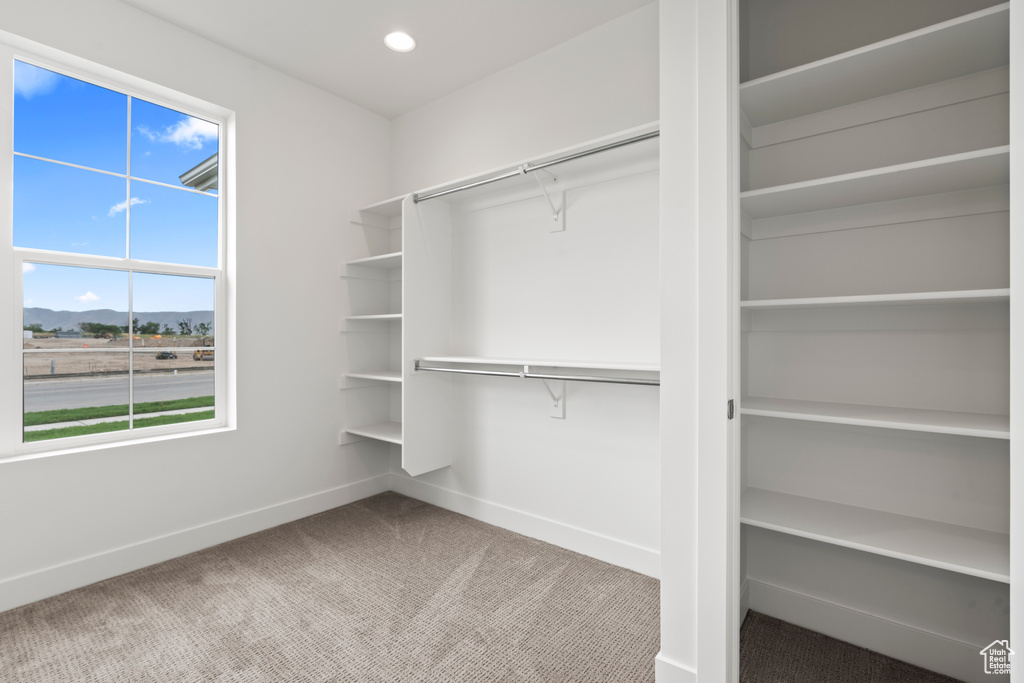 Spacious closet featuring carpet floors