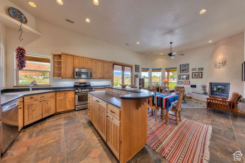 Kitchen with dark tile patterned flooring, ceiling fan, a center island, stainless steel appliances, and sink