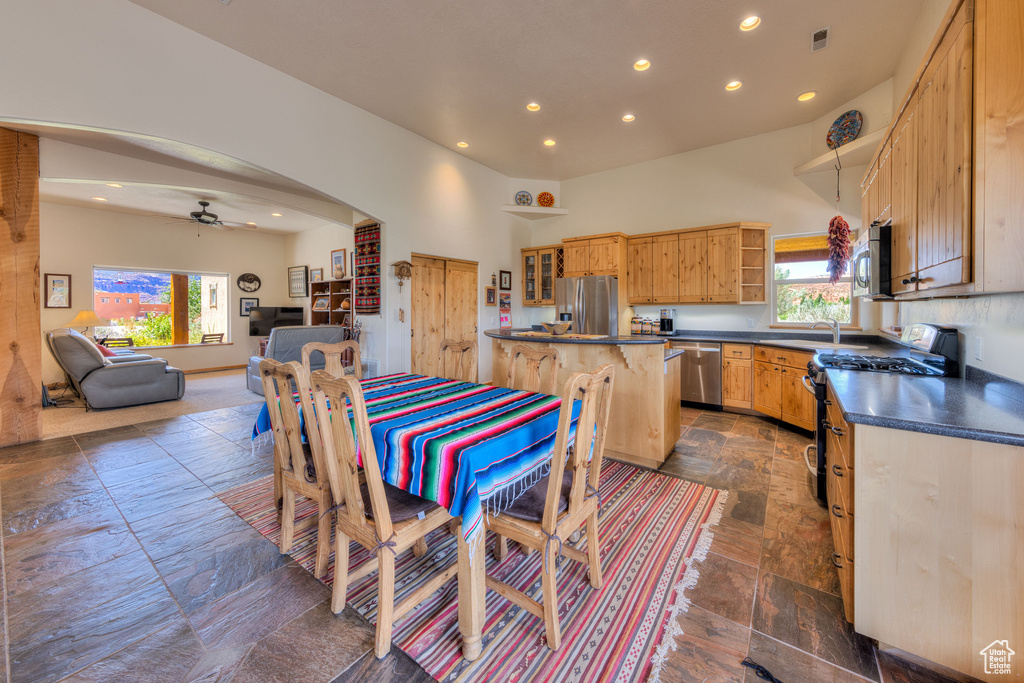 Kitchen with ceiling fan, appliances with stainless steel finishes, dark tile patterned floors, and sink