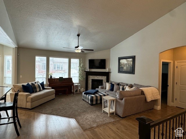 Living area with a fireplace, arched walkways, vaulted ceiling, and wood finished floors