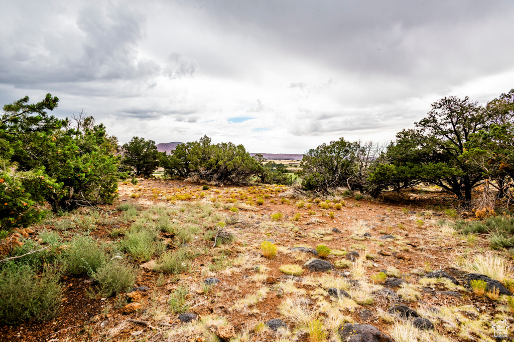 View of landscape