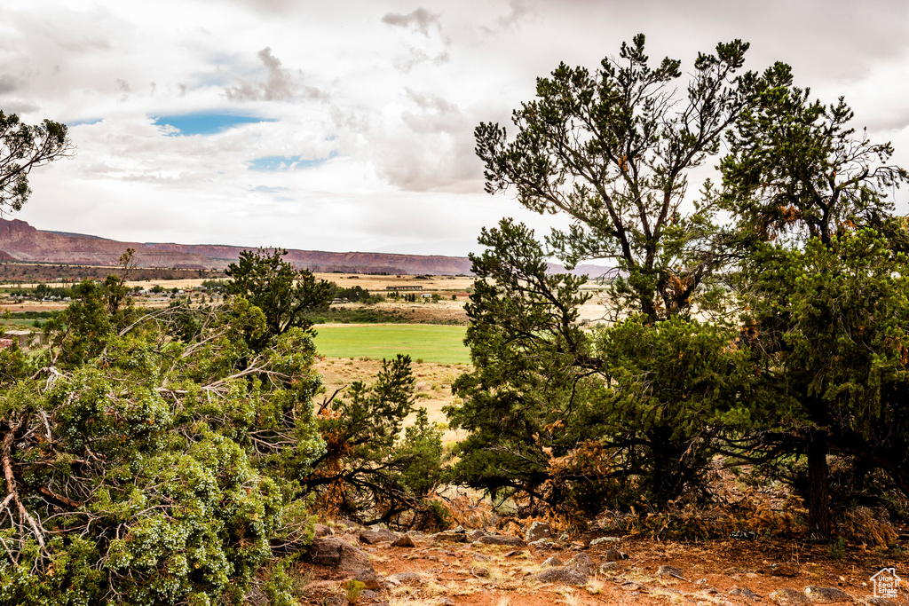 View of nature