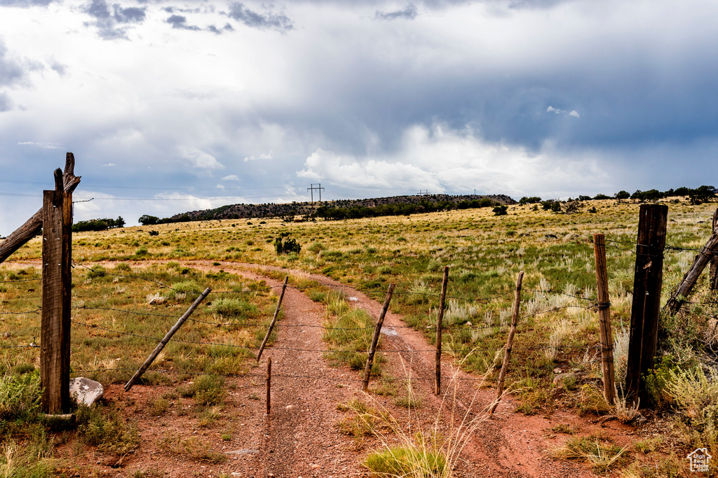 View of local wilderness featuring a rural view