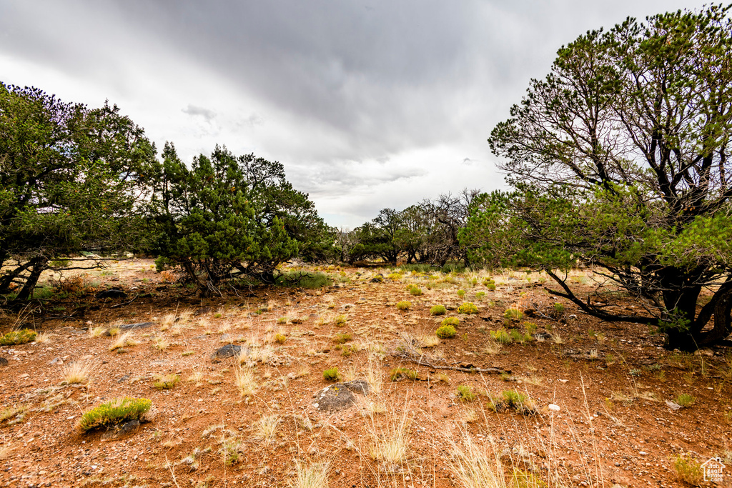 View of nature