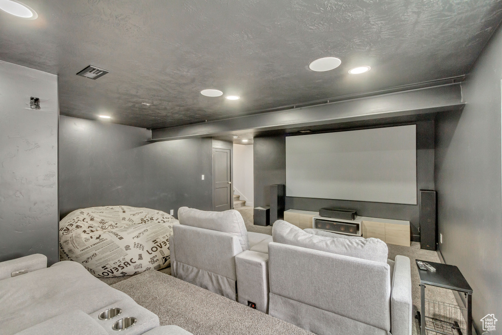 View of carpeted home theater