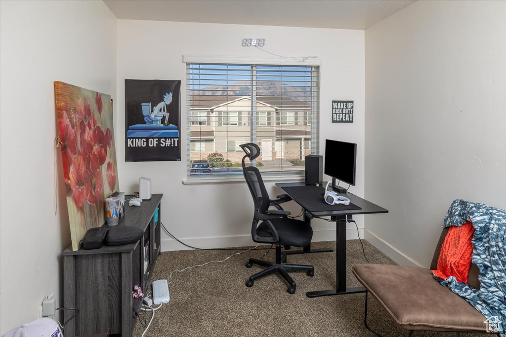 Office area featuring carpet flooring