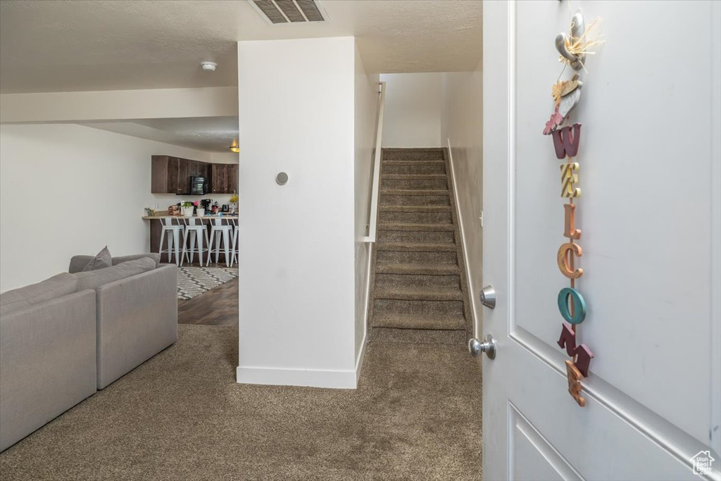 Staircase with carpet flooring