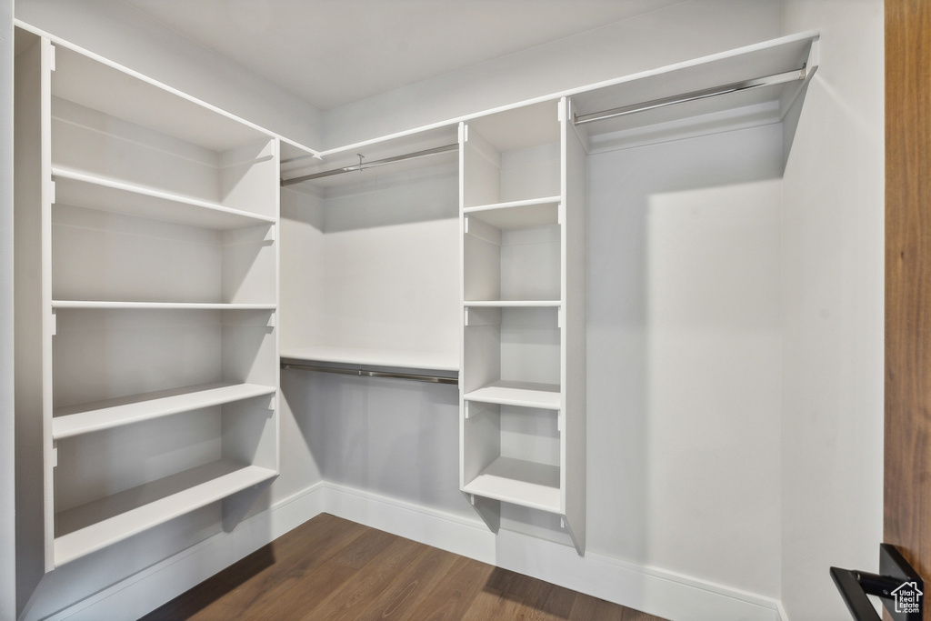 Walk in closet with dark wood-type flooring