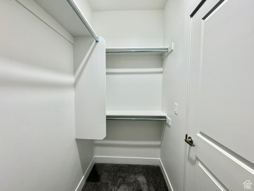 Walk in closet with carpet flooring