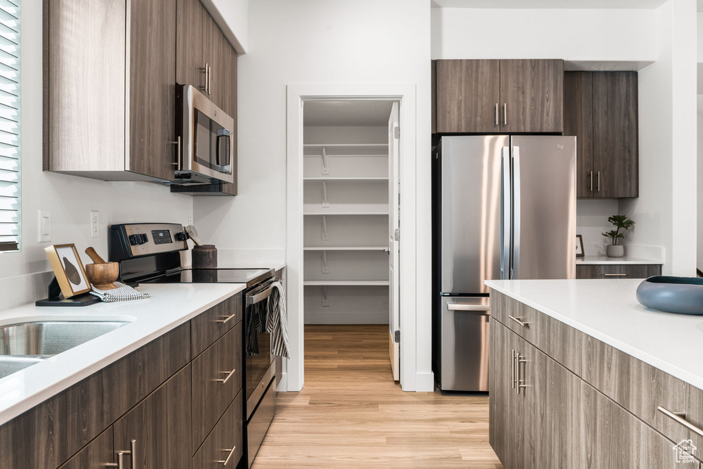 Kitchen featuring light wood-type flooring, stainless steel appliances, and dark brown cabinets