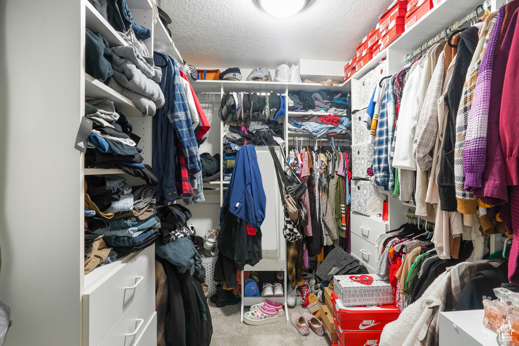 Spacious closet featuring carpet