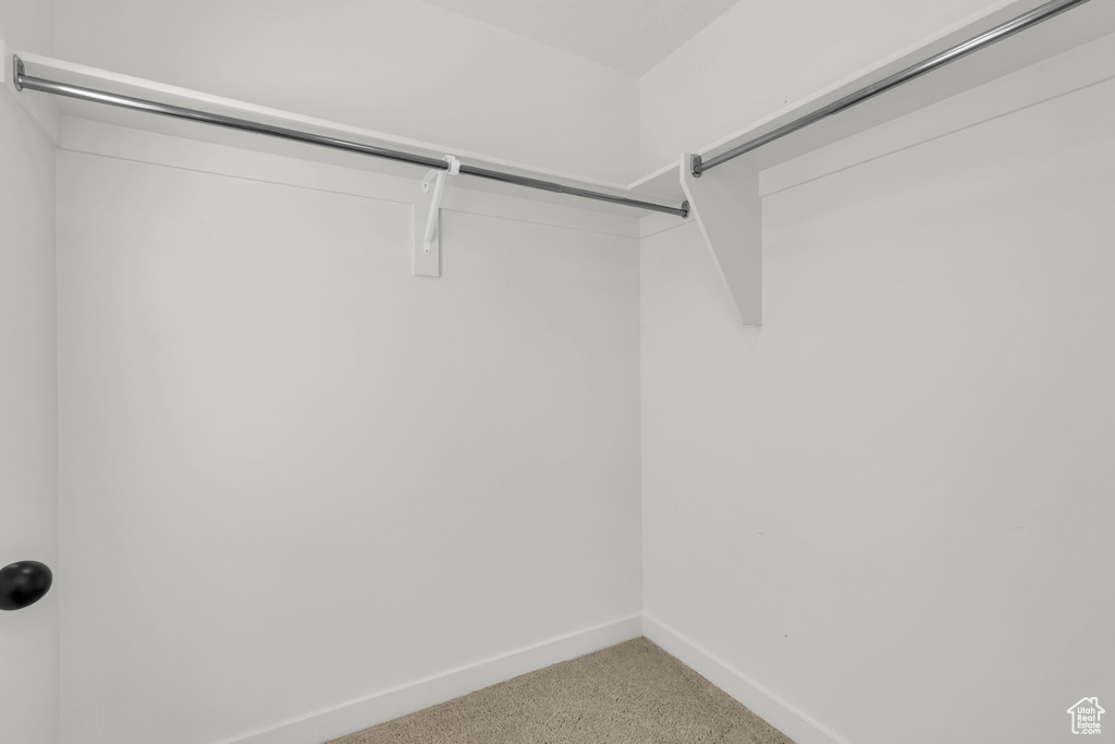 Walk in closet featuring carpet floors