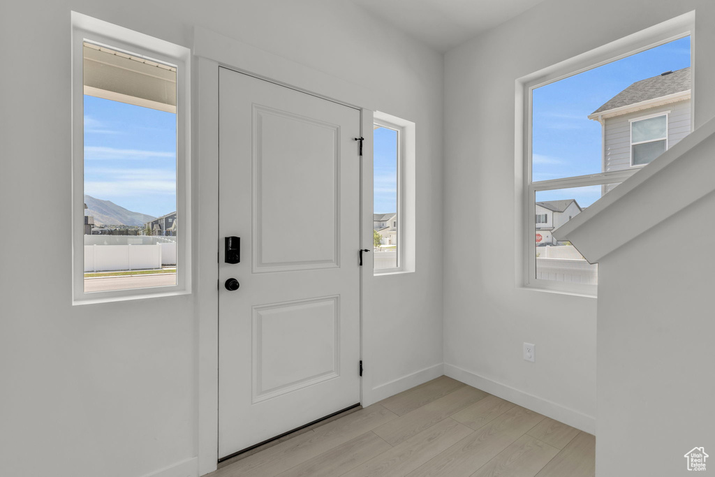 Foyer entrance with a healthy amount of sunlight and light hardwood / wood-style floors