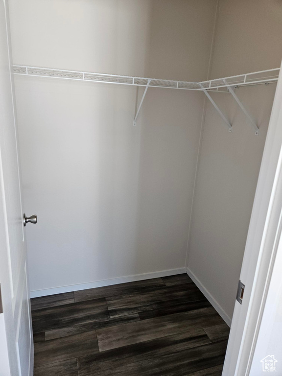 Spacious closet featuring hardwood / wood-style floors