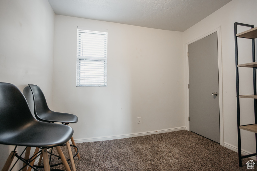 Living area featuring carpet