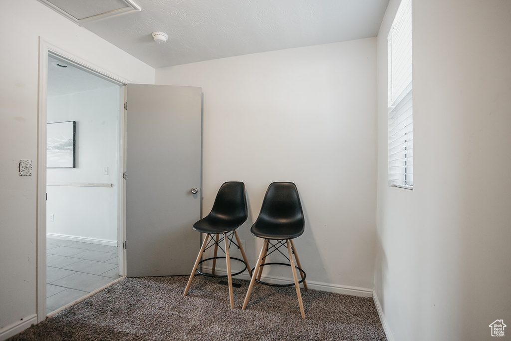 Interior space featuring carpet floors