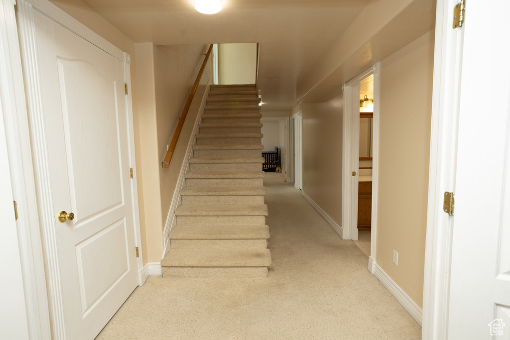 Stairway featuring carpet