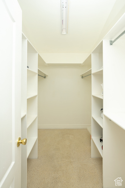 View of walk in closet