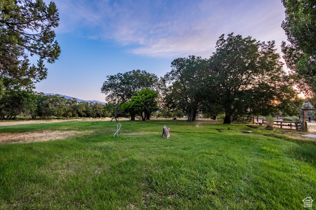 View of yard at dusk