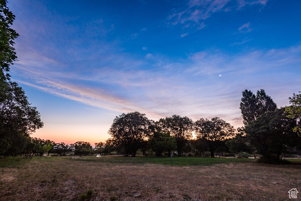 View of nature at dusk