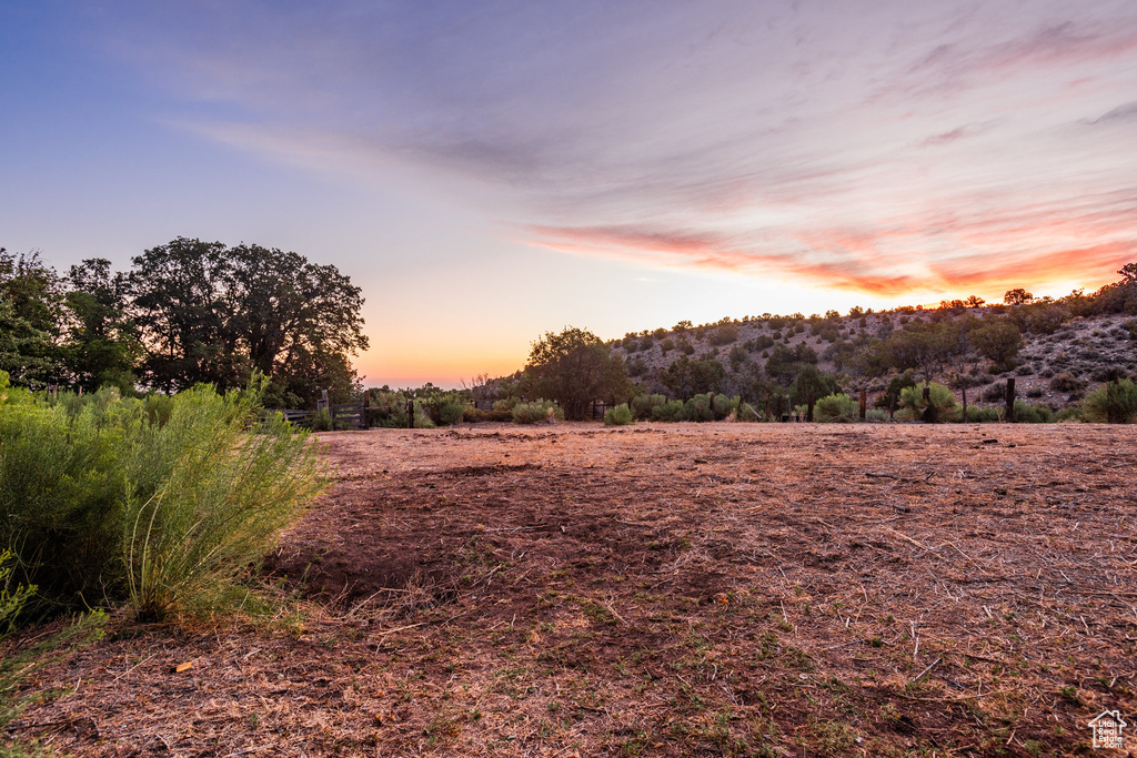 View of nature at dusk