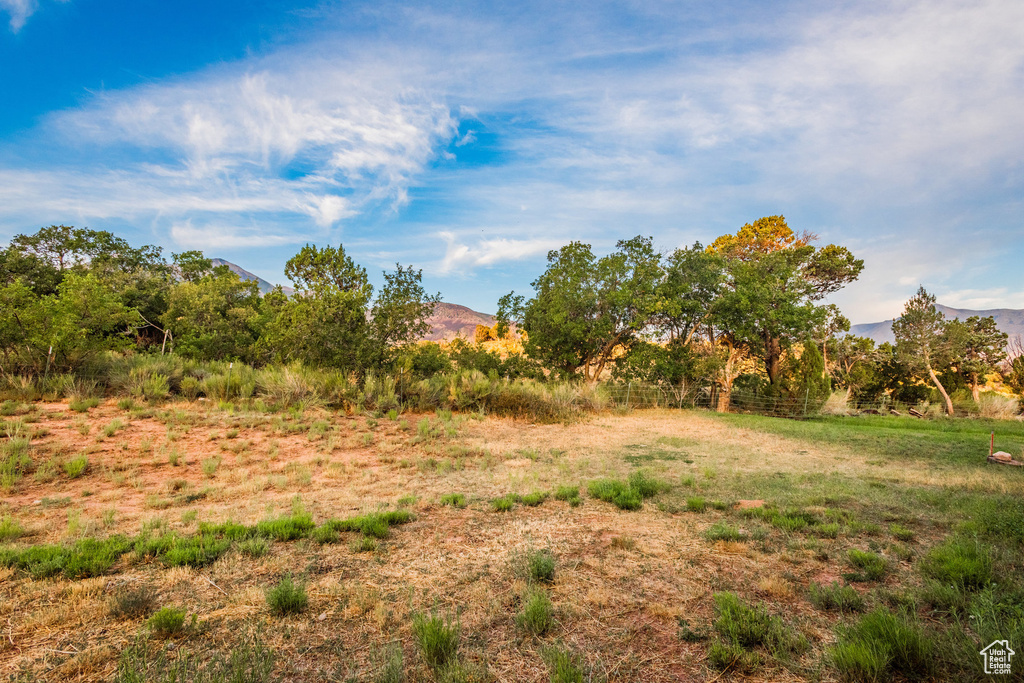 View of yard featuring a mountain view