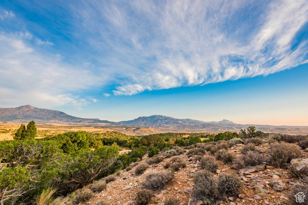 Mountain view