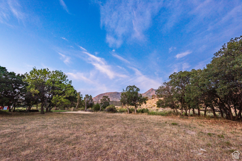 View of yard with a mountain view and a rural view