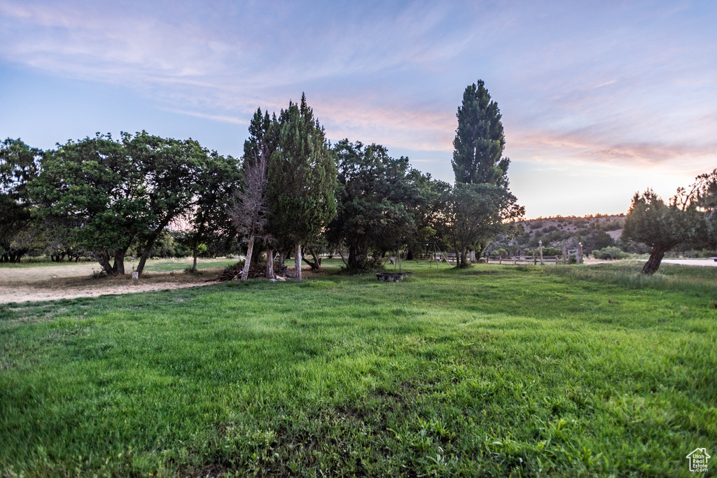 View of yard at dusk