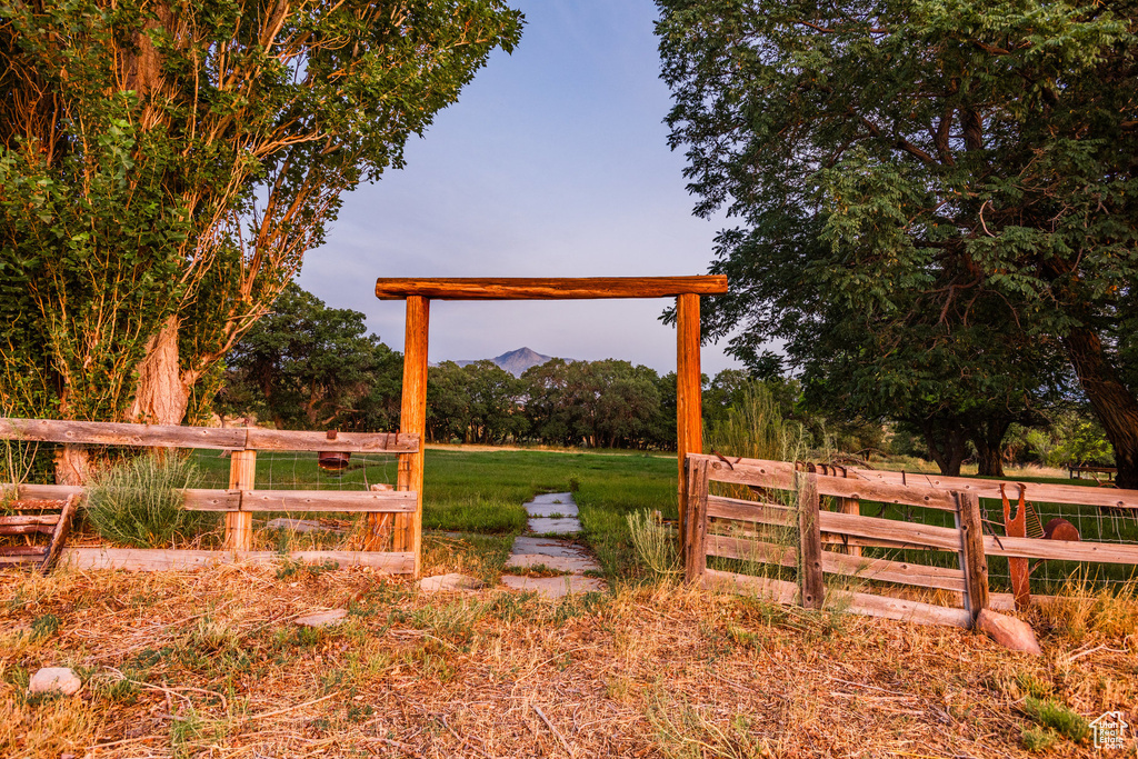 View of yard