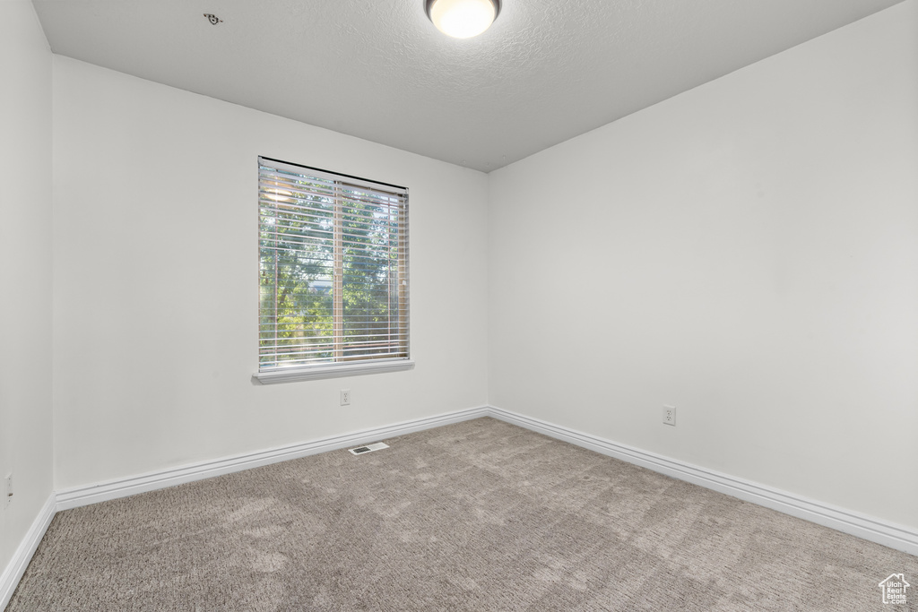 Unfurnished room with light colored carpet