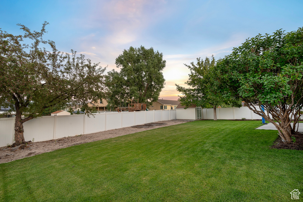 View of yard at dusk