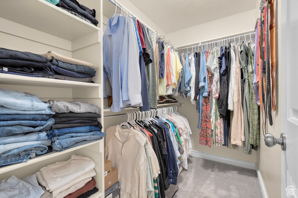 Spacious closet featuring carpet flooring