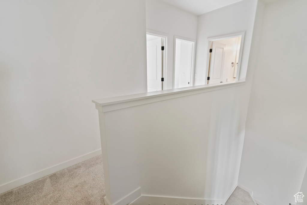 Detailed view of baseboards and carpet flooring