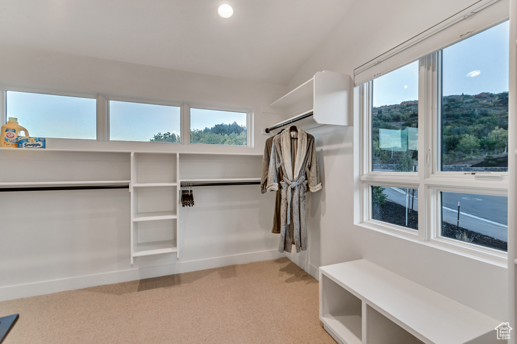 Spacious closet with light carpet