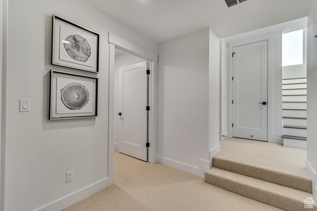 Interior space with light carpet