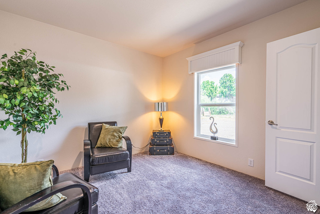 Sitting room featuring carpet flooring