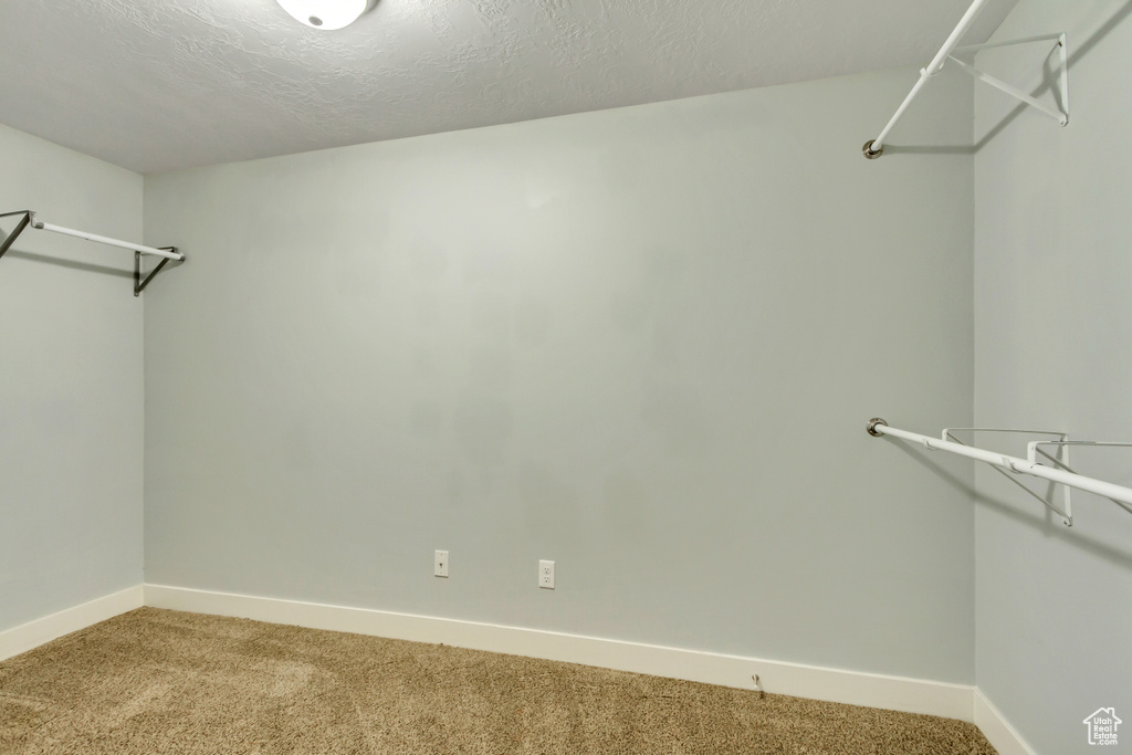 Spacious closet with carpet floors