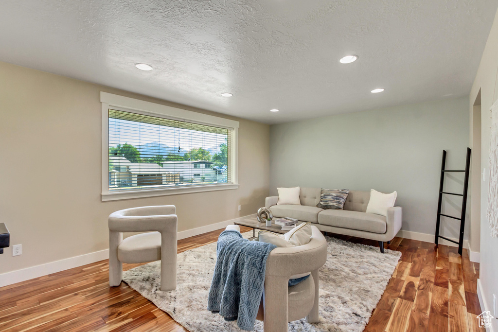 Living room featuring a textured ceiling and wood-type flooring