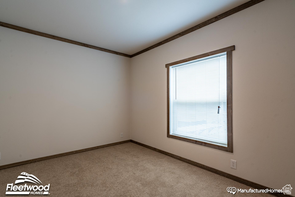 Spare room featuring a wealth of natural light, ornamental molding, and carpet flooring