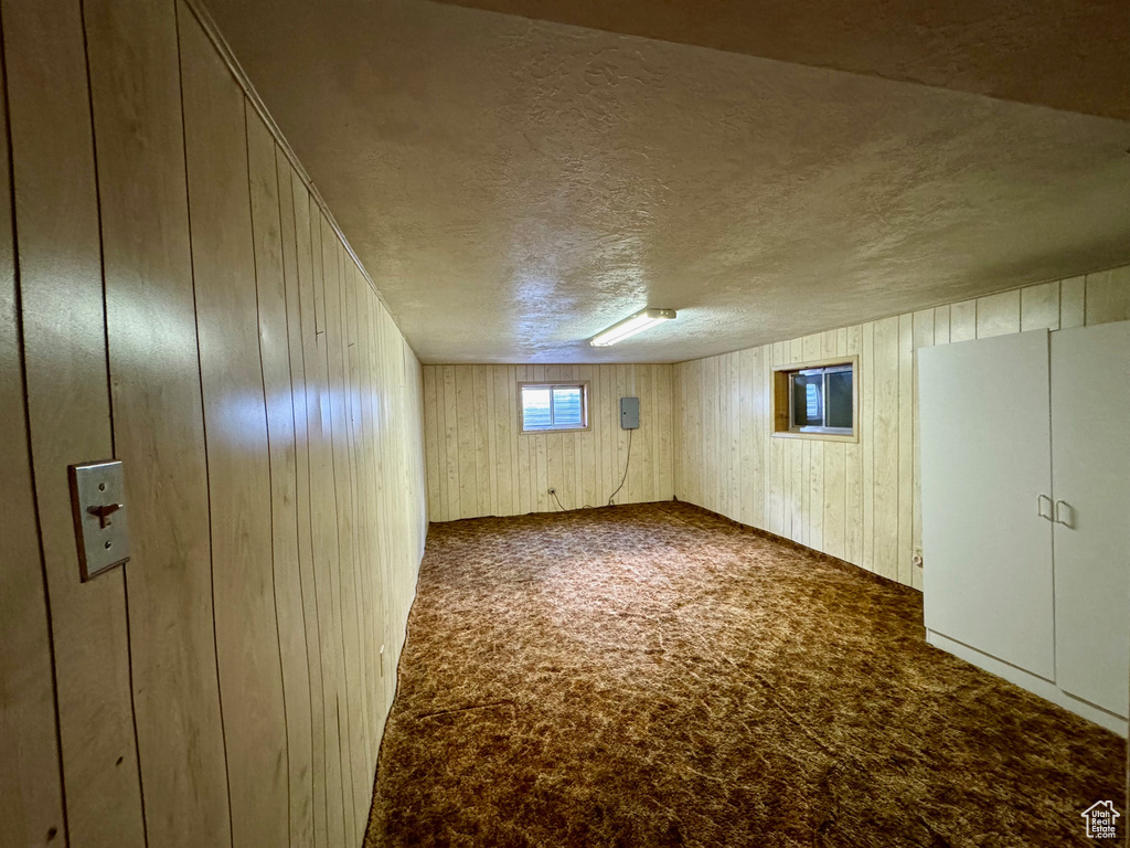 Basement with carpet floors, a textured ceiling, and wood walls