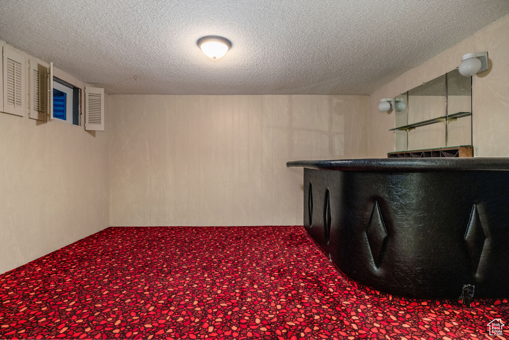 Interior space featuring a textured ceiling and carpet floors