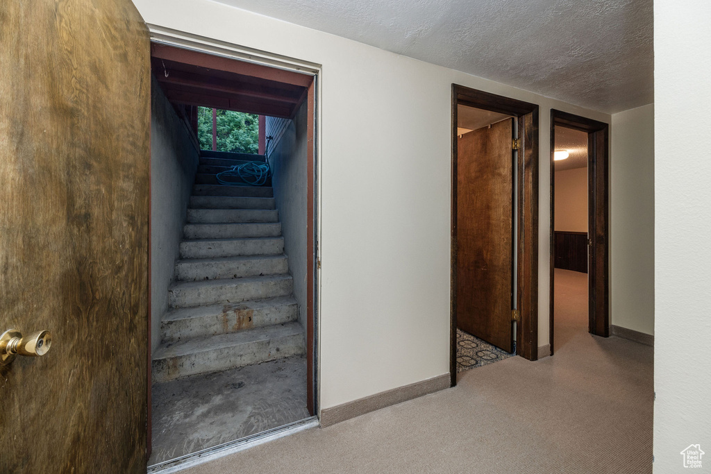 Stairs featuring a textured ceiling