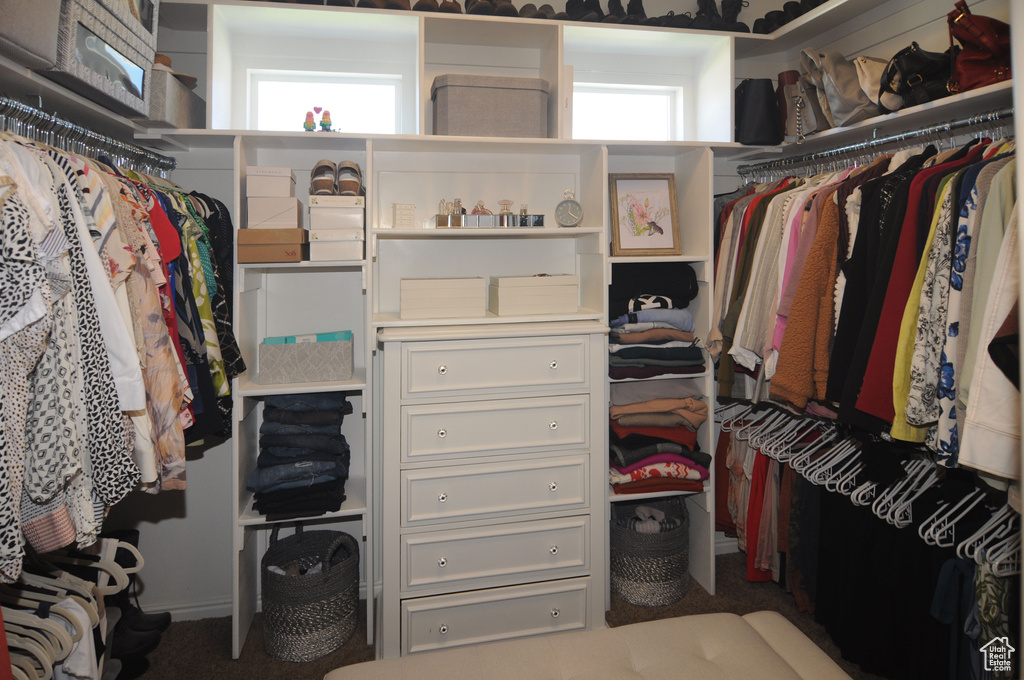 Walk in closet with carpet flooring