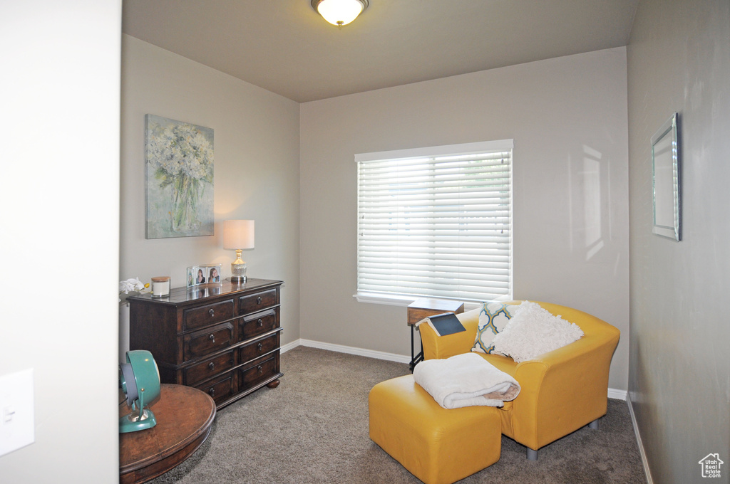 Sitting room featuring carpet flooring