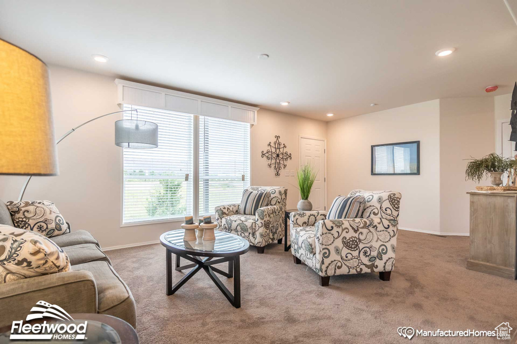 Living room with carpet flooring