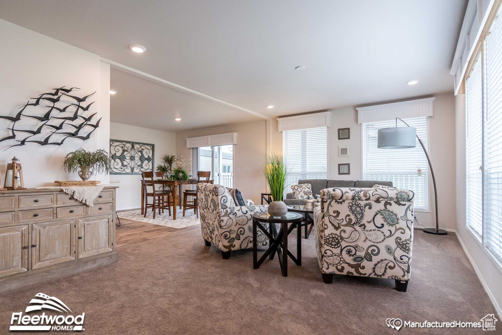 Carpeted living room with a wealth of natural light