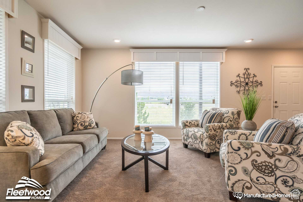 Living room with carpet flooring