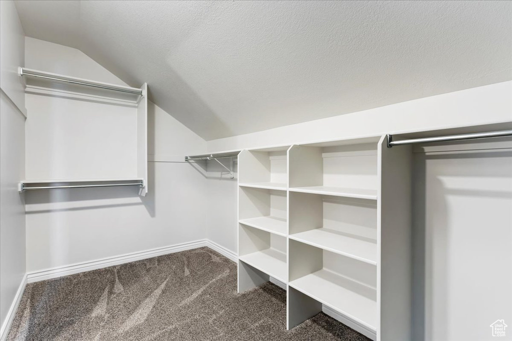 Spacious closet with carpet floors and vaulted ceiling